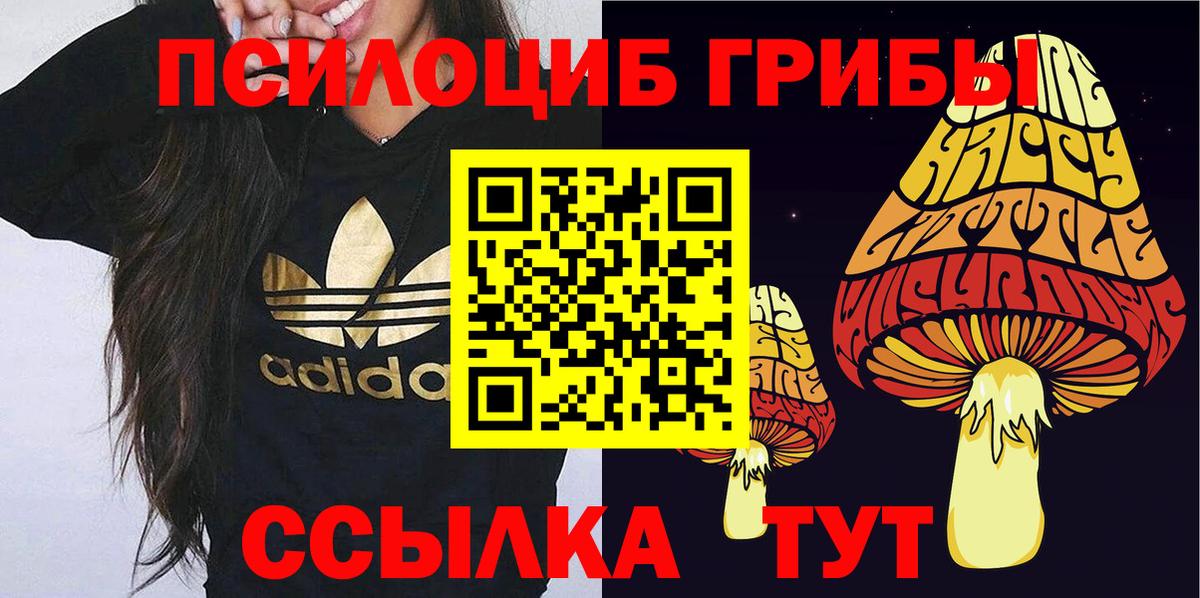 Псилоцибиновые грибы ЛСД  Вход с VPN  Топки 