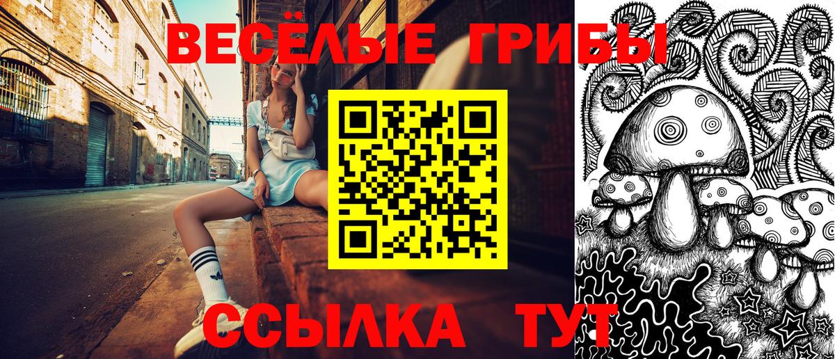 Псилоцибиновые грибы GOLDEN TEACHER Топки